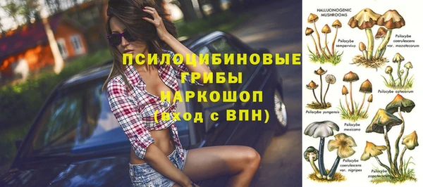 первитин Пестово